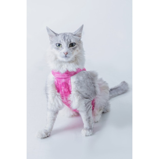 Haina Postoperatorie pentru Pisici DRY LIGHT SUPREME CAT Roz nr. 4 (5–7 kg), Pet Med